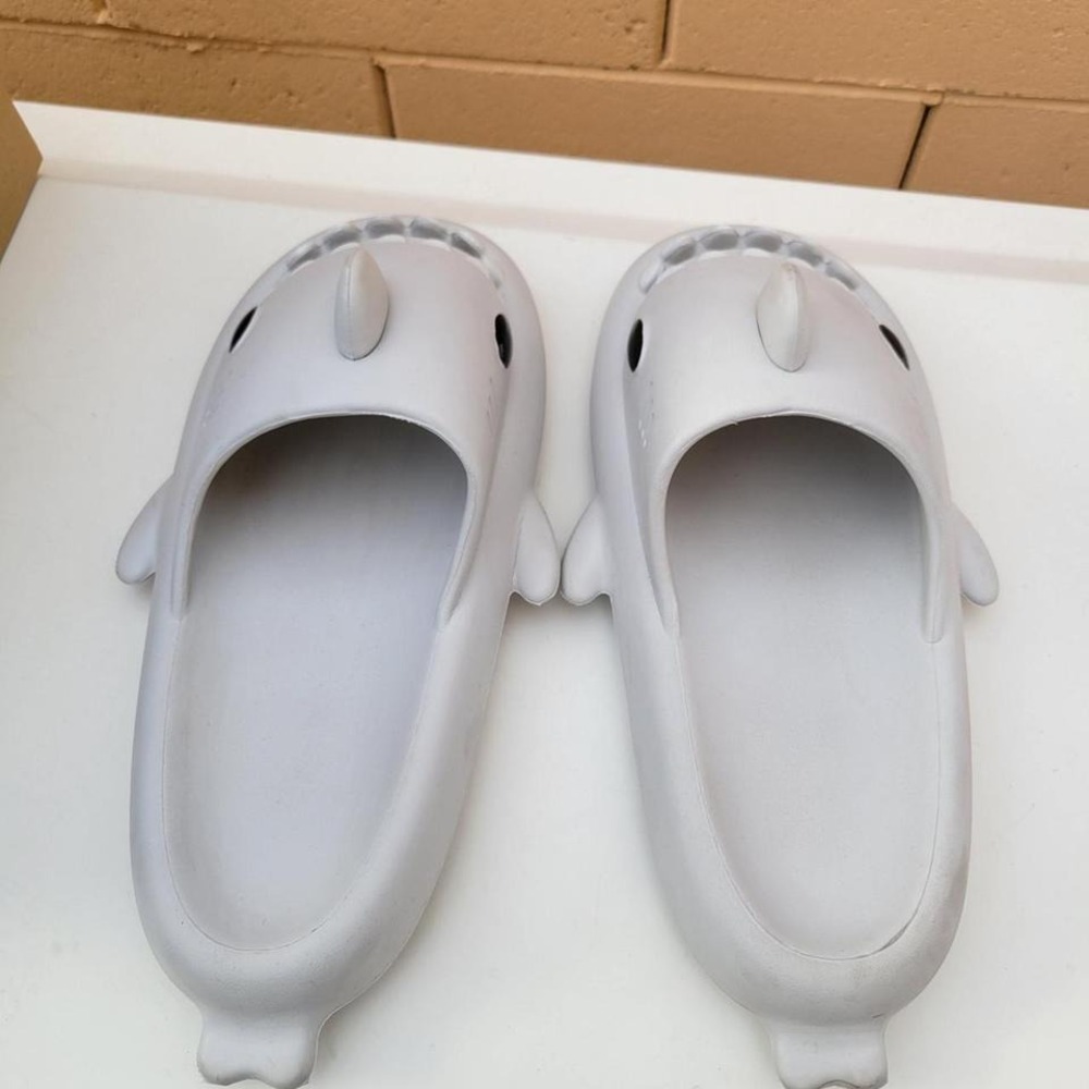Shark slides - Picture 2 of 4